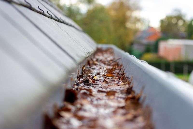 Clogged Gutter Close-up